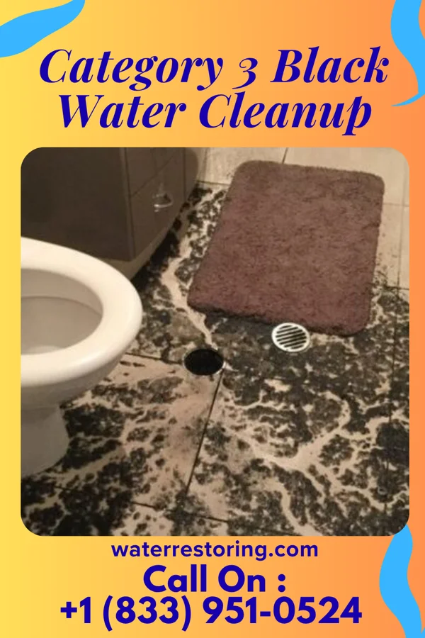 Category 3 Black Water Cleanup in Zenda, KS