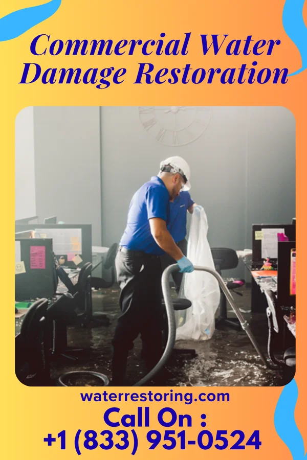 Commercial Water Damage Restoration in Zenda, KS