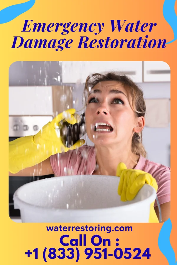 Emergency Water Damage Restoration in Zenda, KS
