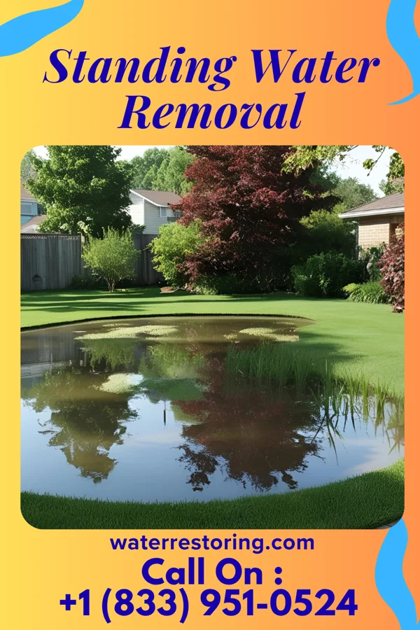 Standing Water Removal in Zenda, KS